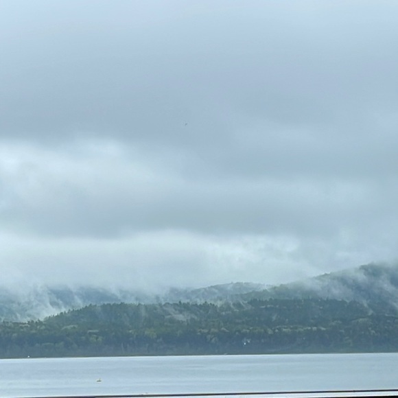 Meet your Posher, Shari - Picture 1 of 1